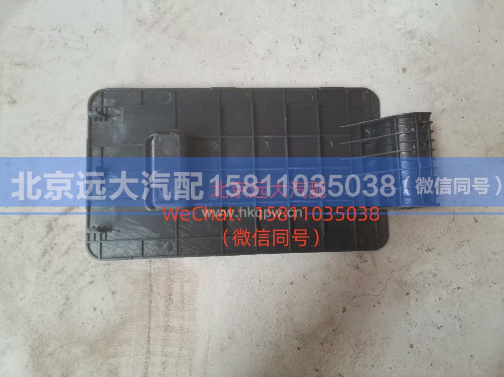 H4845012902A0,脚踏板盖板,北京远大汽车配件有限公司
