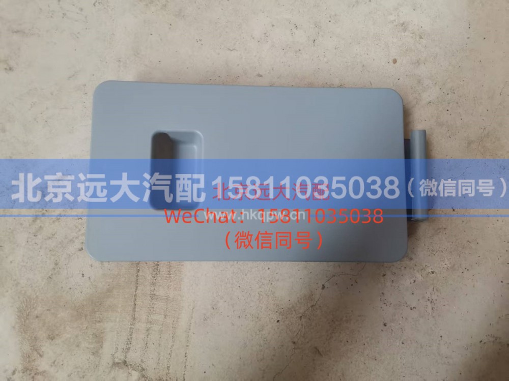 H4845012902A0,脚踏板盖板,北京远大汽车配件有限公司