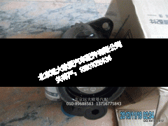 1525334003002,转向助力泵WD618,北京远大欧曼汽车配件有限公司