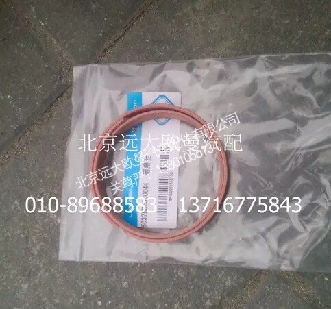 5037HB2300044,耐磨套,北京远大欧曼汽车配件有限公司