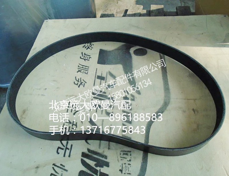 3696537,水泵皮带,北京远大欧曼汽车配件有限公司