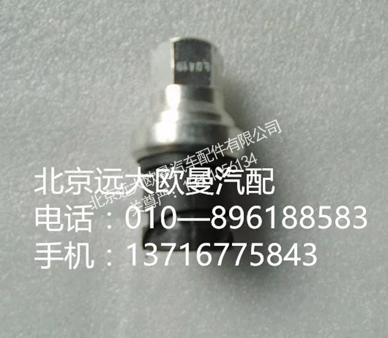 10365080009,滤堵塞,北京远大欧曼汽车配件有限公司