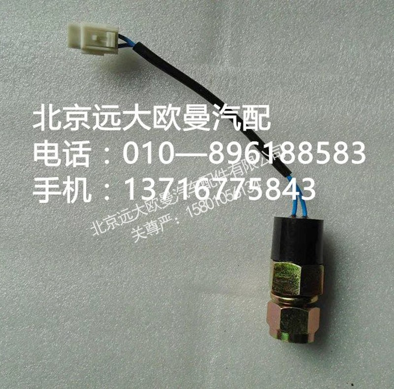 141733661001,熄火开关,北京远大欧曼汽车配件有限公司