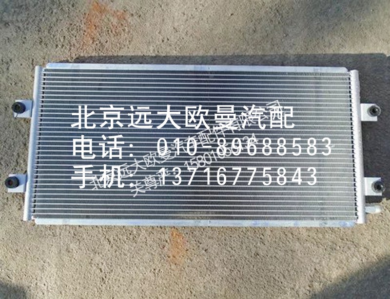 1B24981280061,冷凝器芯体,北京远大欧曼汽车配件有限公司