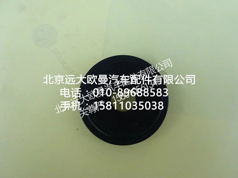 ,30Z01-主銷油封01037,北京遠(yuǎn)大歐曼汽車配件有限公司