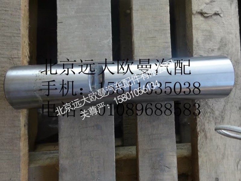 QT65BQ0-3001102,轉(zhuǎn)向節(jié)主銷,北京遠(yuǎn)大歐曼汽車配件有限公司