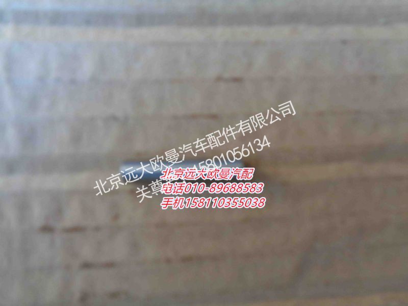 ZL300S1-2405004A,滚针,北京远大欧曼汽车配件有限公司