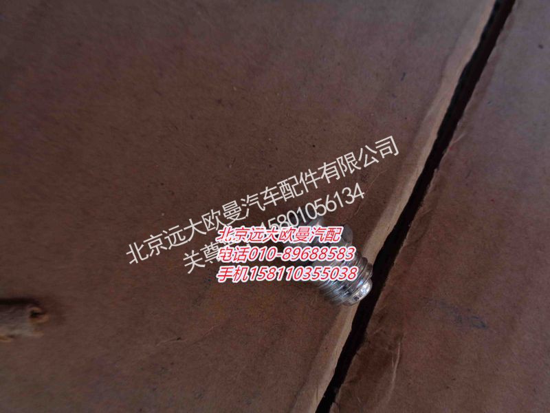 Q700B01,直通式滑脂嘴,北京远大欧曼汽车配件有限公司