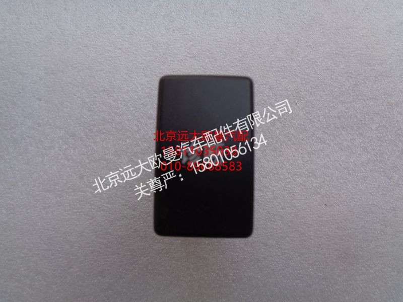 1B24937300130,诊断开关,北京远大欧曼汽车配件有限公司