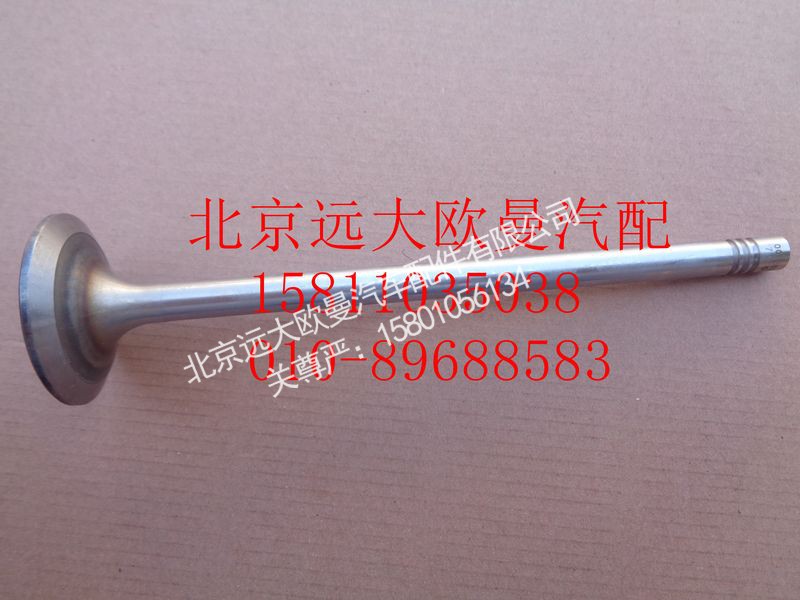 612630050001,进气门,北京远大欧曼汽车配件有限公司
