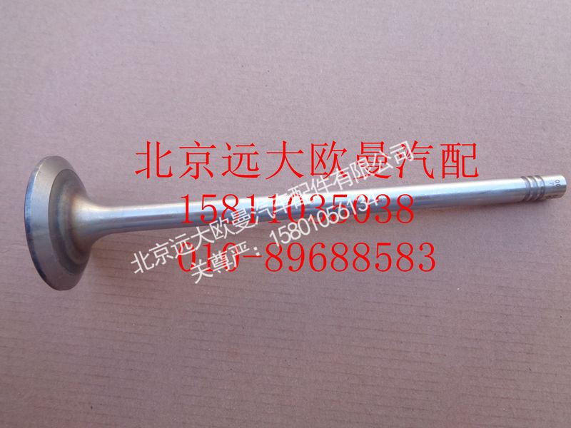 612630050001,进气门,北京远大欧曼汽车配件有限公司