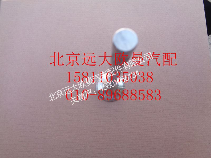 612630050002,排气门,北京远大欧曼汽车配件有限公司