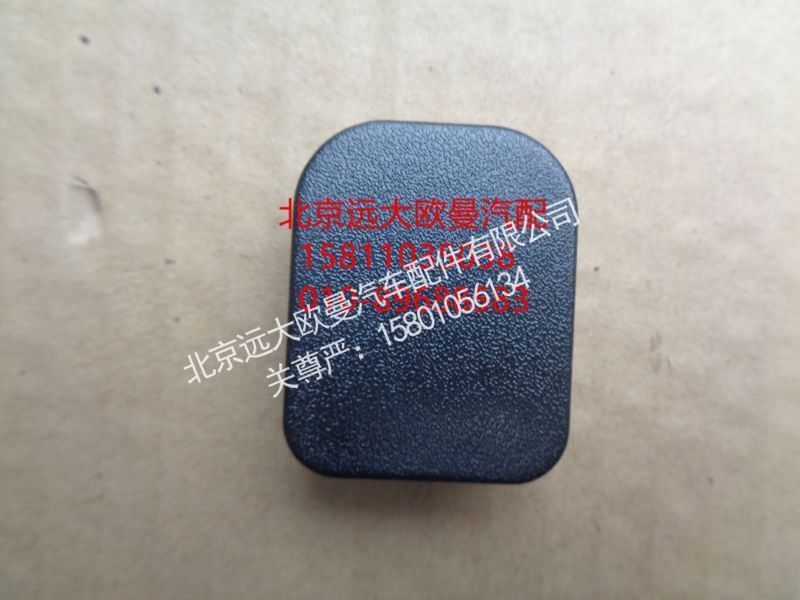 H0610168300A0,左车门护面闷盖,北京远大欧曼汽车配件有限公司