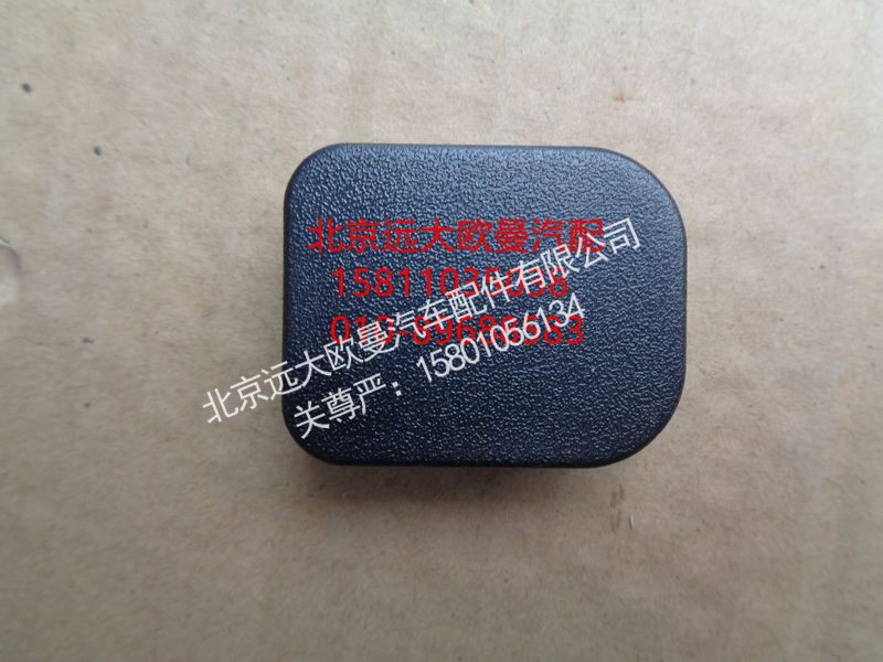 H0610168300A0,左车门护面闷盖,北京远大欧曼汽车配件有限公司