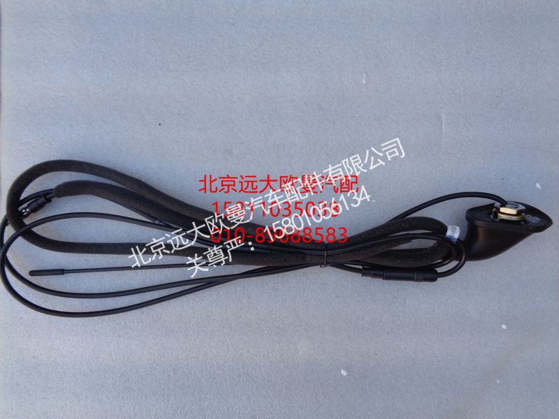 H4791030101A0,顶置天线总成,北京远大欧曼汽车配件有限公司