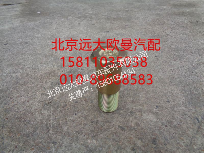 H029200000008,销轴组合螺栓,北京远大欧曼汽车配件有限公司
