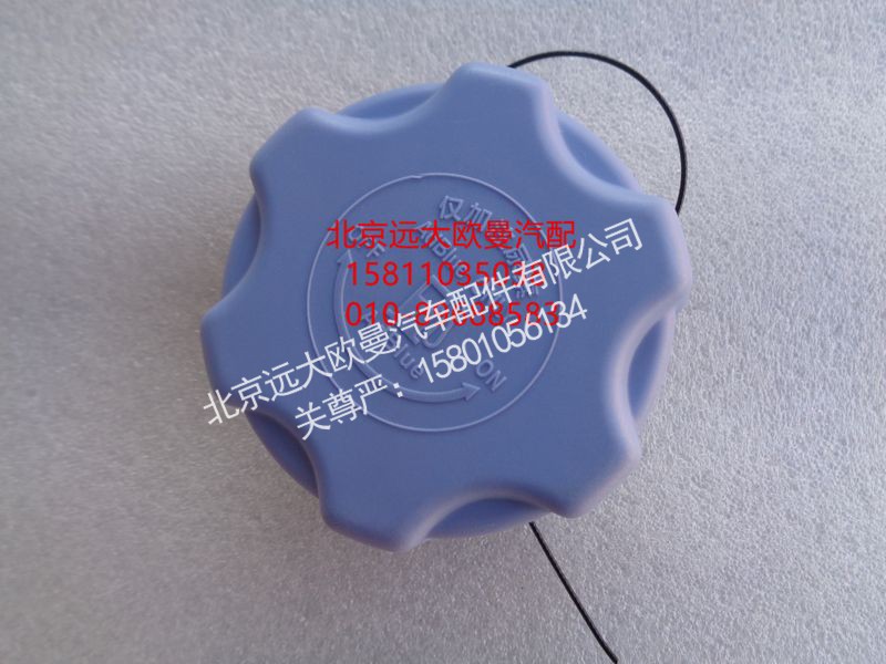 NSGWSLS,尿素盖（无锁蓝色）,北京远大欧曼汽车配件有限公司