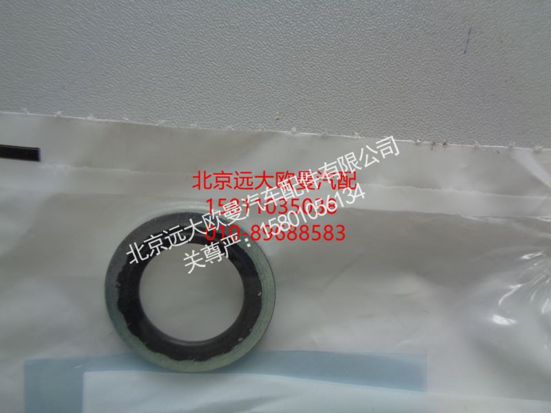 3963988,密封垫圈,北京远大欧曼汽车配件有限公司