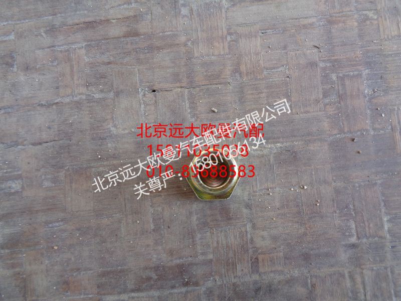 1124134000009,转向器铰接螺栓,北京远大欧曼汽车配件有限公司