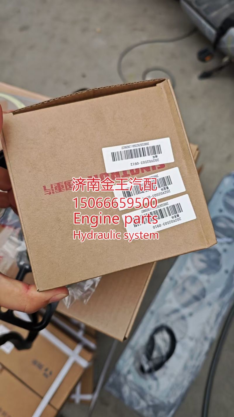 活塞环 曼13h 202V02503-6010