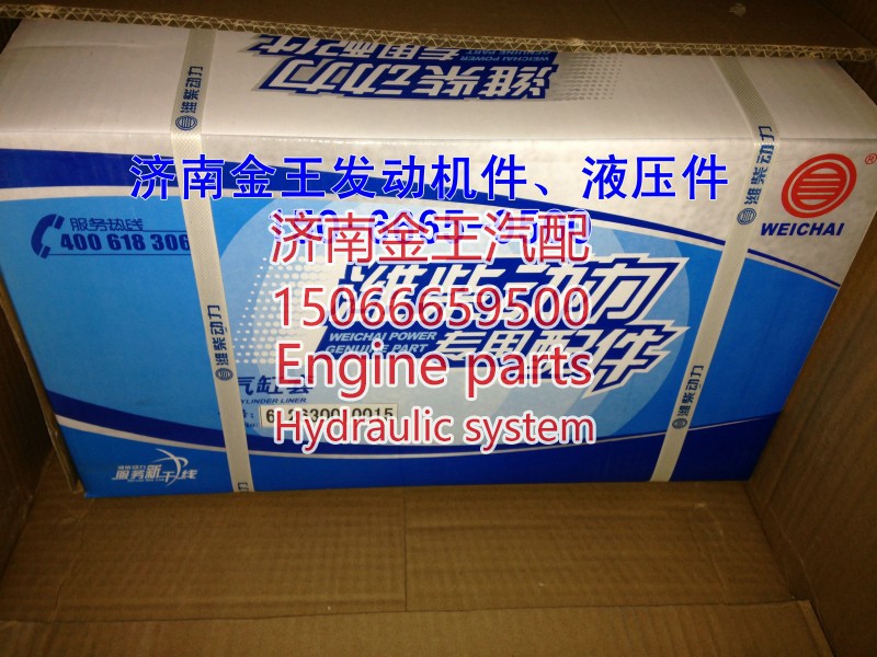 612630010015,WP10汽缸套，氣缸套,濟(jì)南金王重汽配件經(jīng)營部