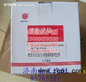 612600030051,濰柴活塞環(huán),濟(jì)南金王重汽配件經(jīng)營部