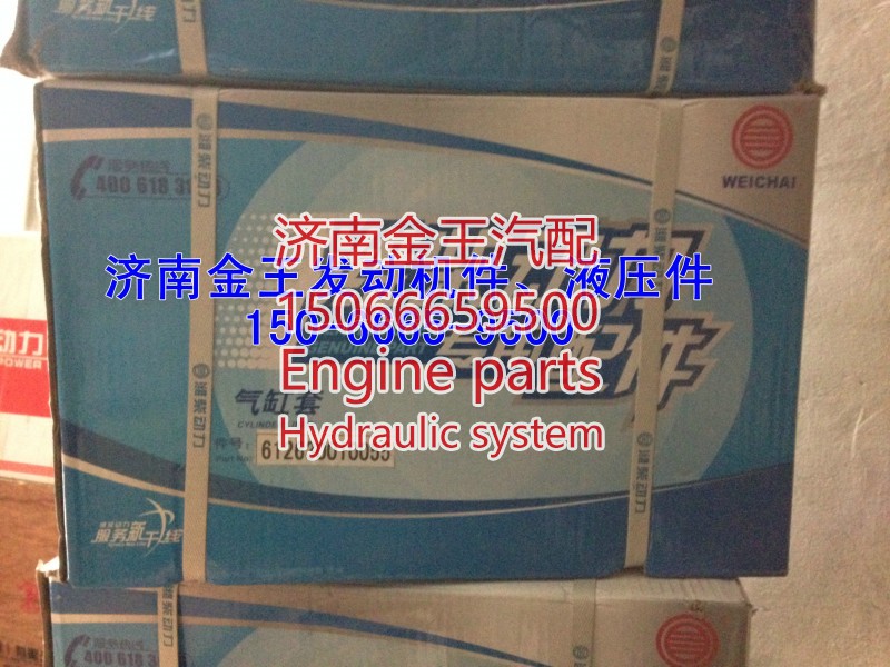 612630010055,汽缸套,濟南金王重汽配件經(jīng)營部