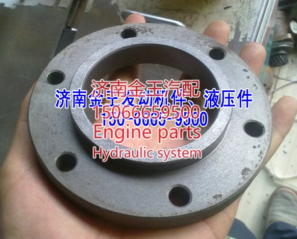 612600061480,风扇轮毂/风扇法兰,济南金王重汽配件经营部