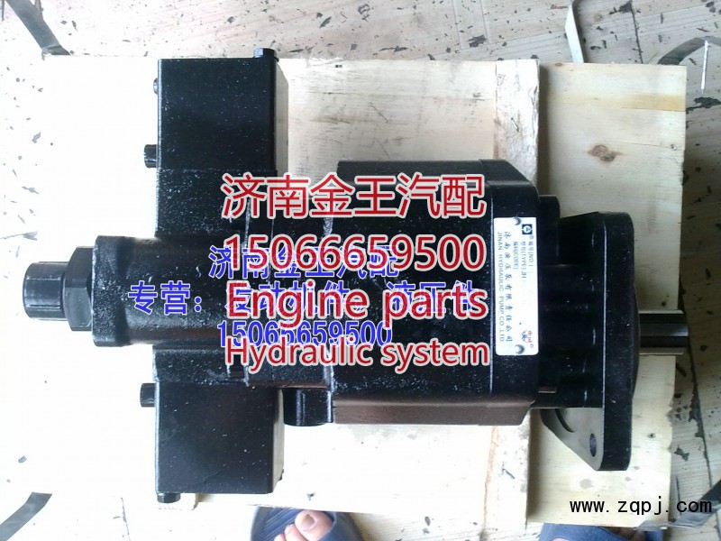 JHP2BC100,齿轮油泵，液压泵，起斗泵，大厢举升泵，齿轮泵,济南金王重汽配件经营部