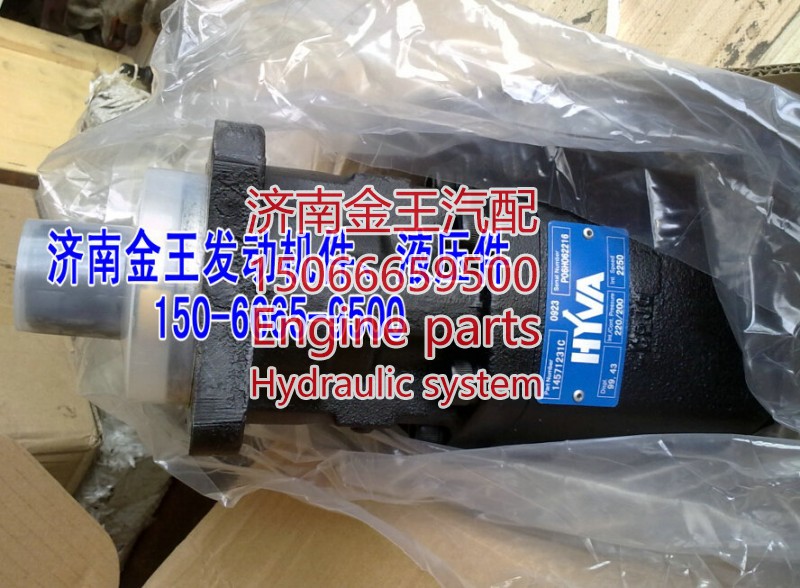 14571220C,海沃泵 齿轮油泵 齿轮泵 举升泵,济南金王重汽配件经营部