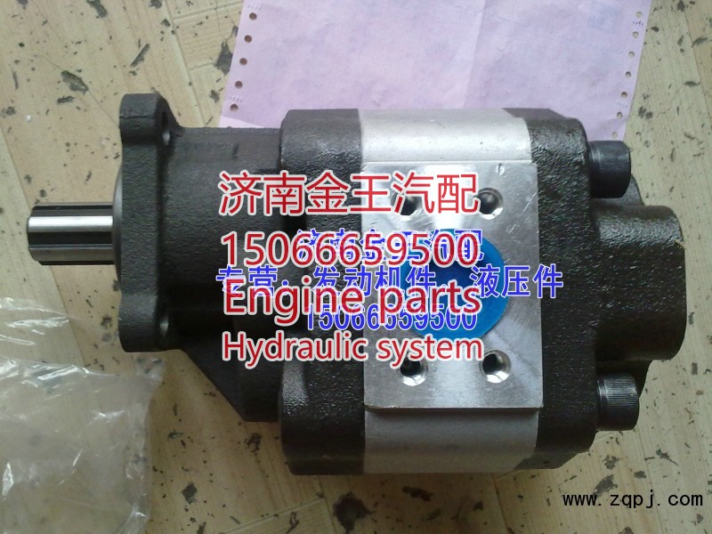 CBHBD-F100H8，H6,齒輪油泵，液壓泵，起斗泵，大廂舉升泵，齒輪泵,濟南金王重汽配件經(jīng)營部