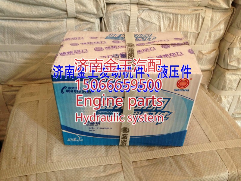 61560030013,濰柴活塞銷,濟(jì)南金王重汽配件經(jīng)營部