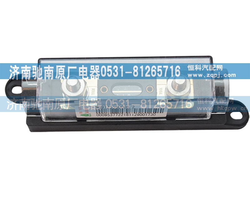 WG97255800061,保险装置,济南驰南原厂电器