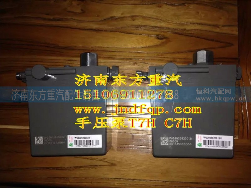 WG9925823022/1,手压泵,济南东方重汽配件销售中心