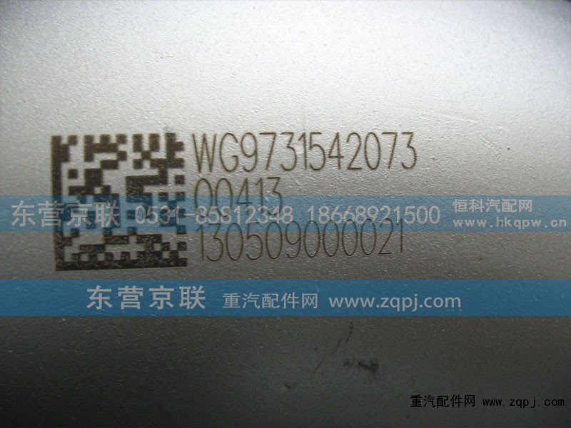 WG9731542073,,东营京联汽车销售服务有限公司
