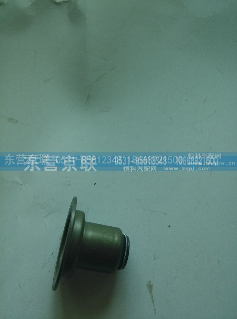 VG1246050167,氣門護套,東營京聯(lián)汽車銷售服務有限公司