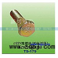 AZ9725520260,直徑22V推螺絲（80長20牙）,晉江新興螺絲有限公司