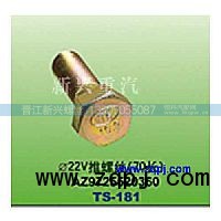 AZ9725520360,直徑22V推螺絲（70長(zhǎng)）,晉江新興螺絲有限公司