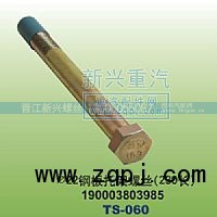 190003803985,￠22钢板托架螺丝230长,晋江新兴螺丝有限公司