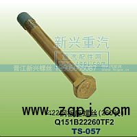 Q151B22260TF2,￠22钢板座螺丝260长,晋江新兴螺丝有限公司