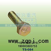 190003803753,￠14滑块螺丝55长,晋江新兴螺丝有限公司