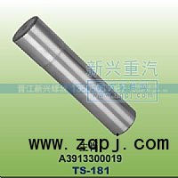 A3913300019,主肖,晉江新興螺絲有限公司