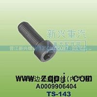 A0009906404,￠12轮边外盖螺丝内六角,晋江新兴螺丝有限公司