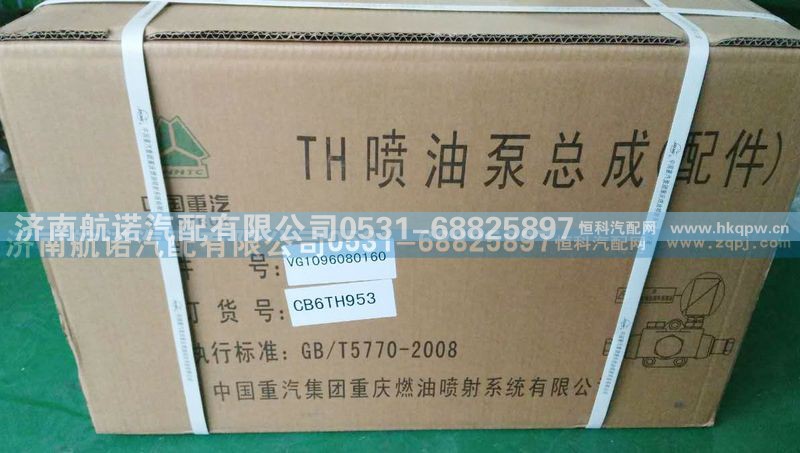 VG1096080160,TH喷油泵总成,济南航诺汽配有限公司