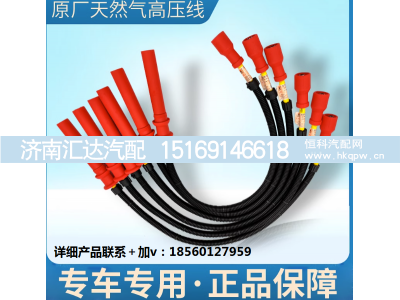 ,天然气发动机LNG火花塞高压线点火线,济南汇达汽配销售中心