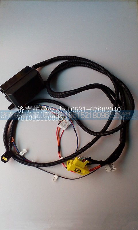 VG1092110095,發(fā)動機線束,濟南杭曼汽車配件有限公司