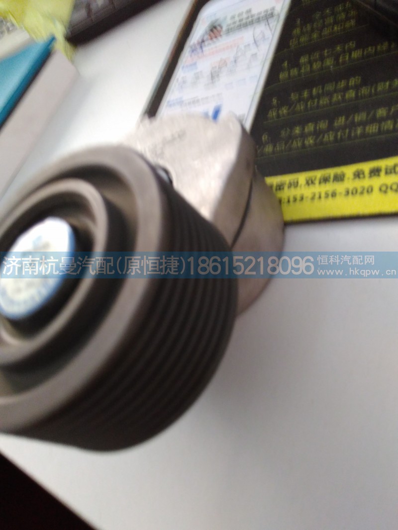 VG1060060113,涨紧轮,济南杭曼汽车配件有限公司
