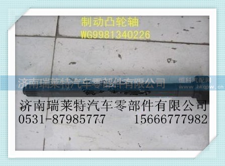 WG9981340226,制动凸轮轴(左),济南瑞莱特汽车零部件有限公司