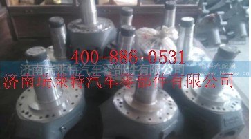 AZ9970410118,转向节总成,济南瑞莱特汽车零部件有限公司
