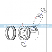 61000214 Piston Assembly